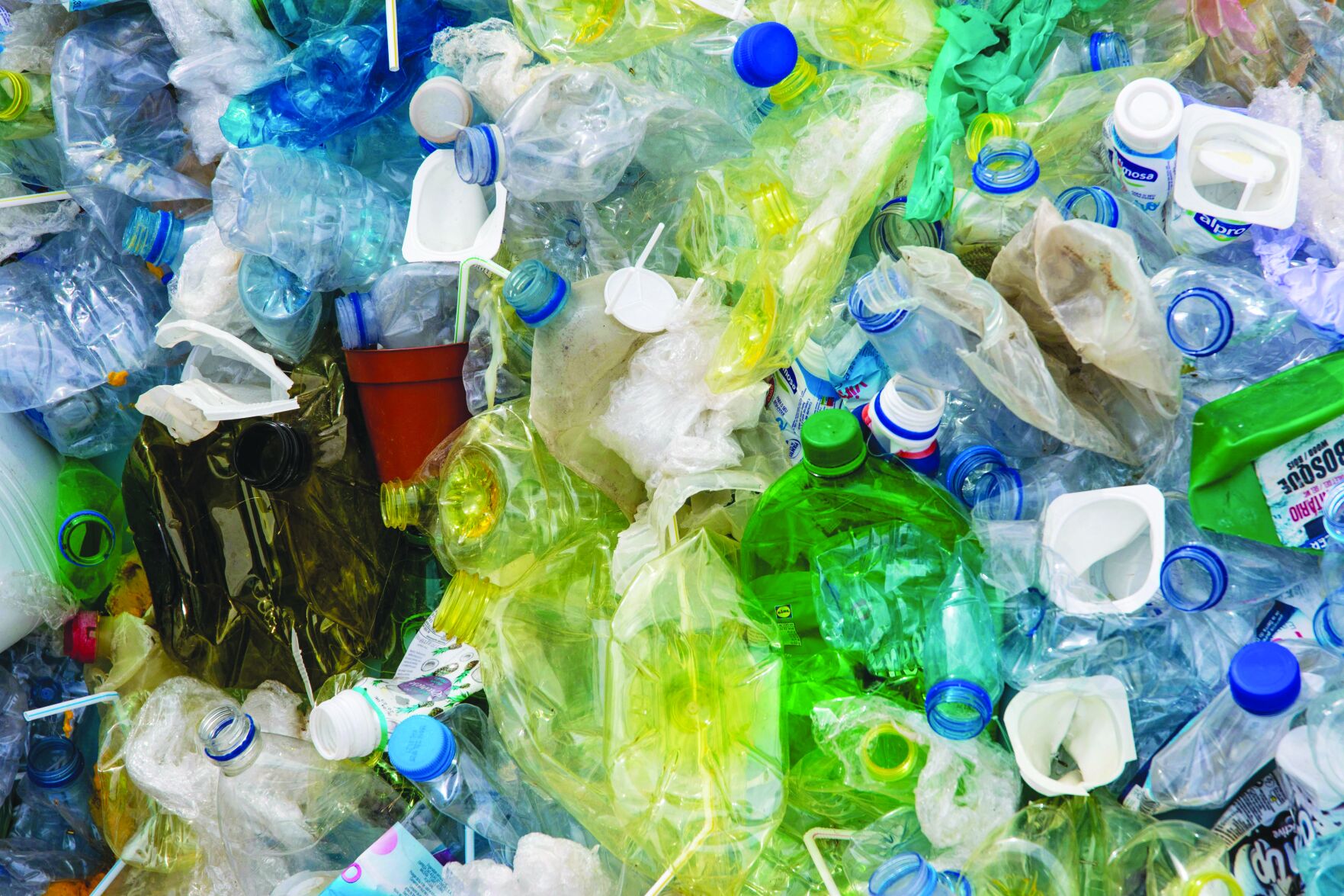 plasitc bottles.jpeg